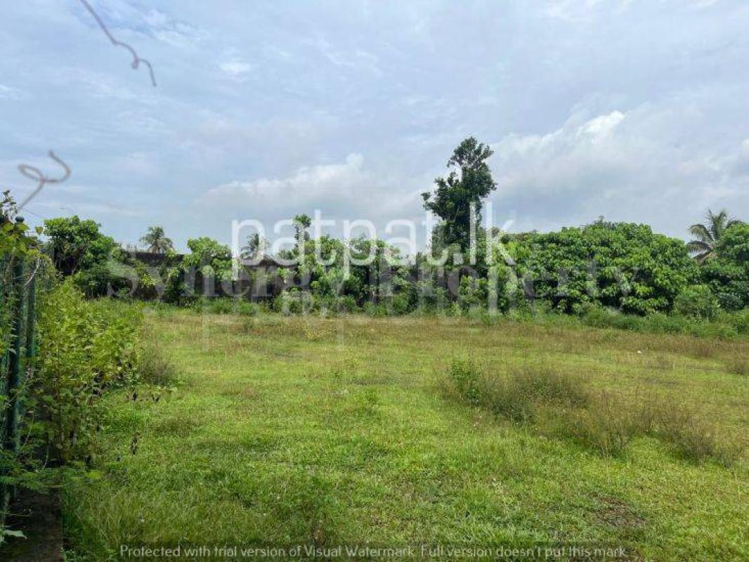 listing-image