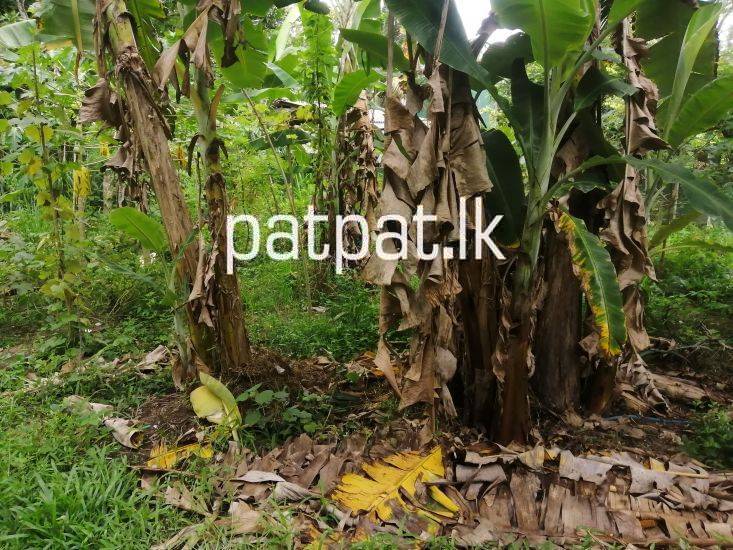 Residential Land for Sale in Kadawatha