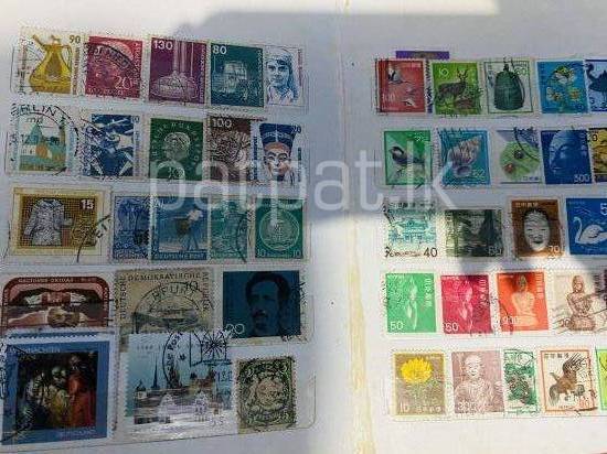 premium-listing-image