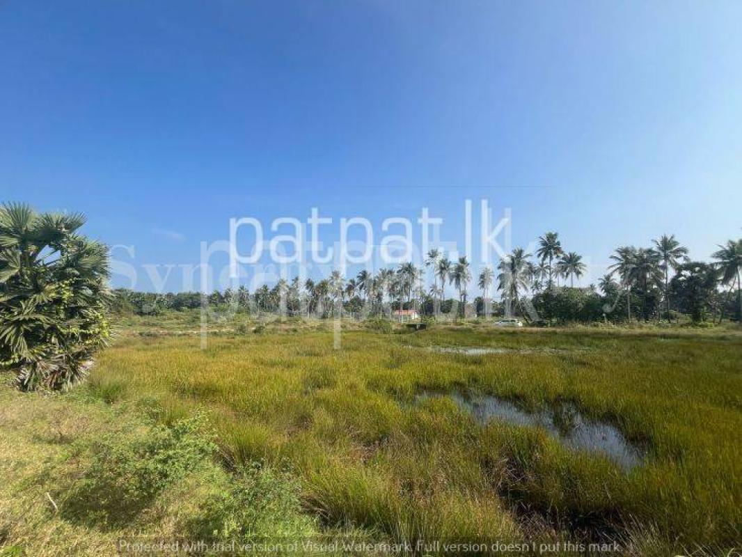 Advertisement image 1