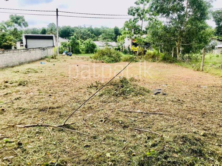 Land for Sale in Wadduwa ads-image-1