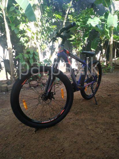 Bicycle
