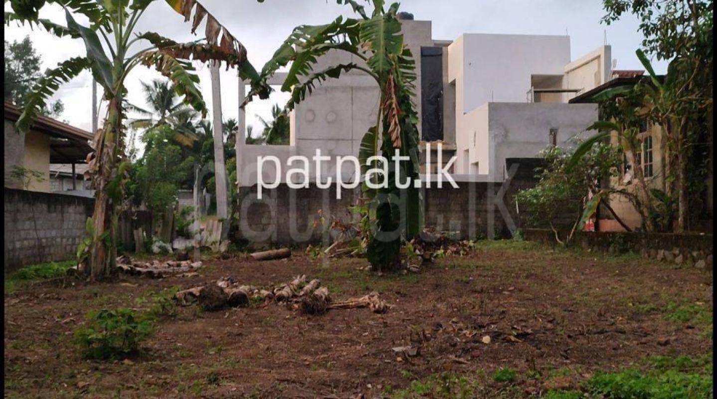 Land for Sale in Panadura ads-image-1