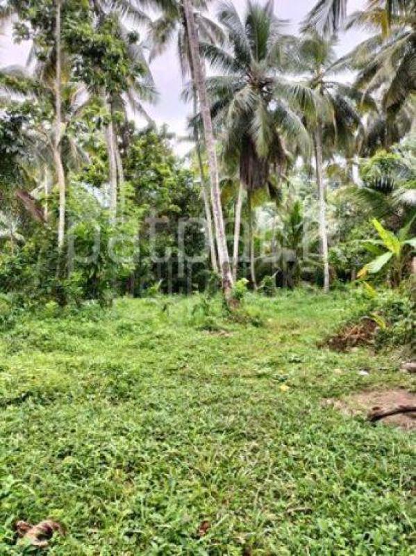 Land for Rent in Bemmulla ads-image-1