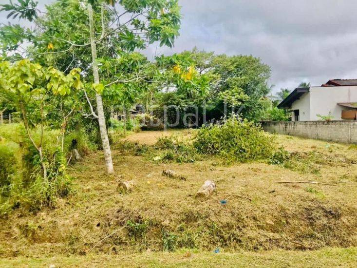 Land for Sale in Wadduwa