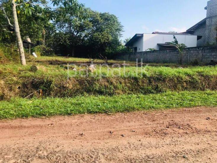  Land for Sale in Wadduwa