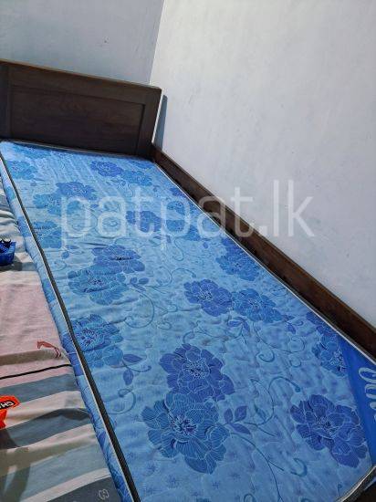 Teak Single Bed + OLIVE Sleep Makers Spring Mattress