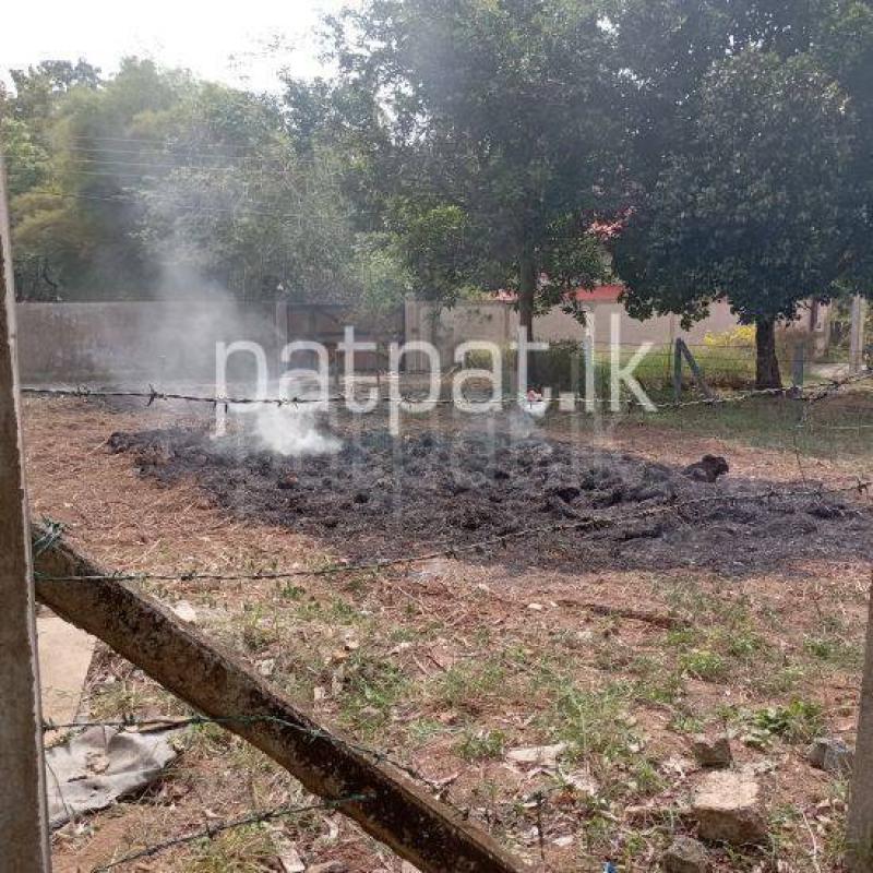  Land for Rent in Piliyandala