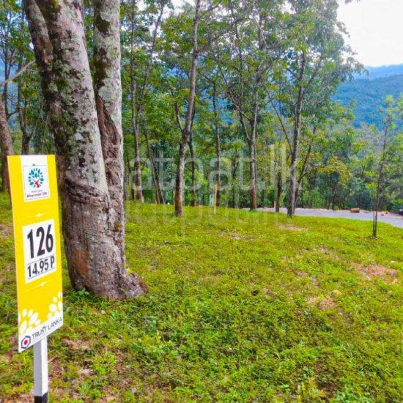 Commercial Land for Sale in Rattota ads-image-1