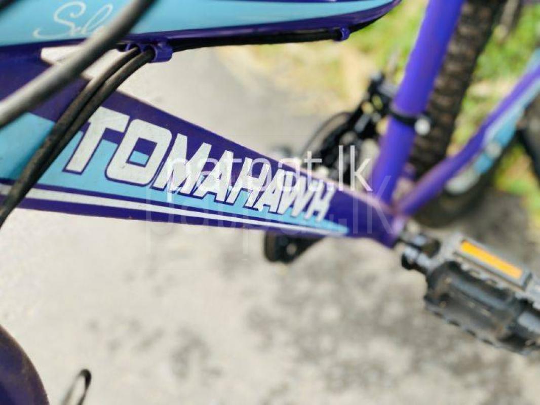 Advertisement image 3