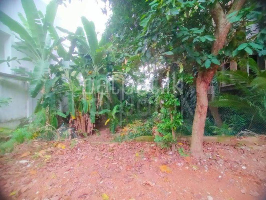 Residential Land for Sale in Nawala ads-image-1