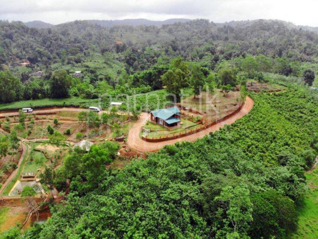 Land for Sale in Kananke Bazaar ads-image-1