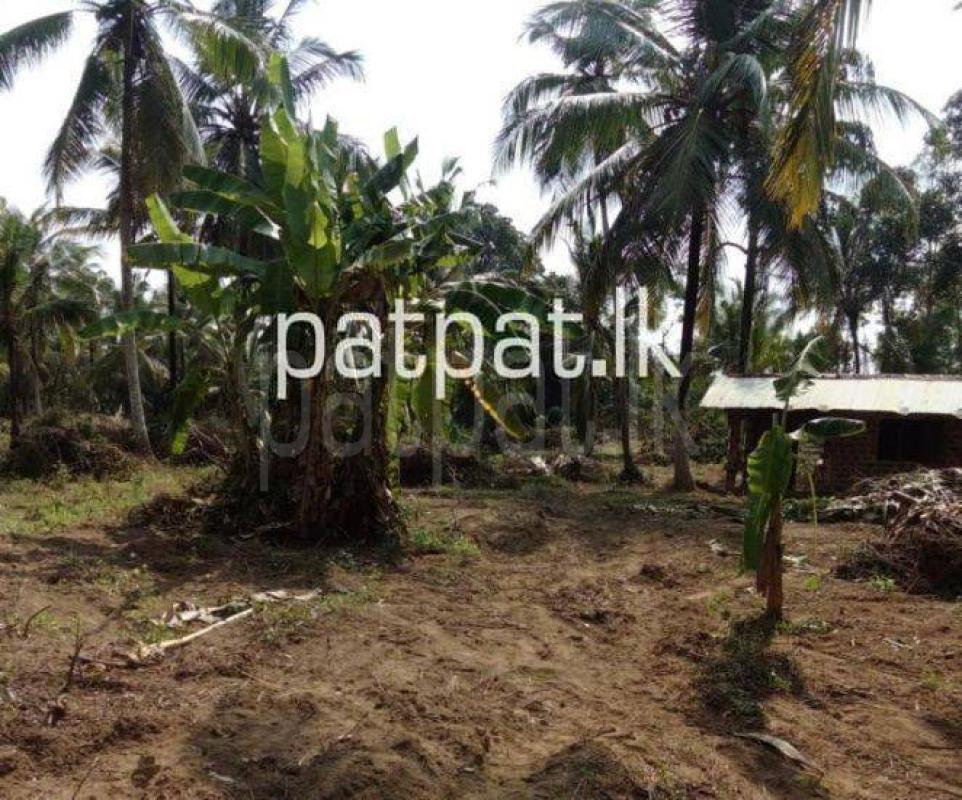 premium-listing-image