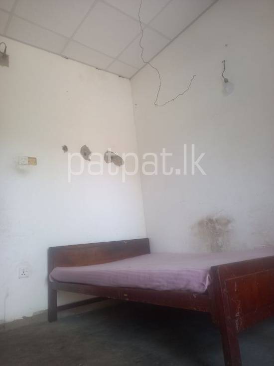 premium-listing-image