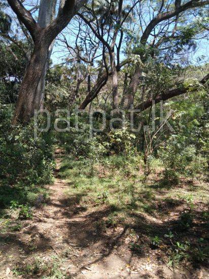 listing-image