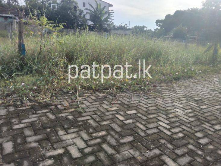 premium-listing-image