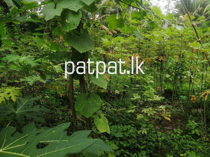 ads-image-1
