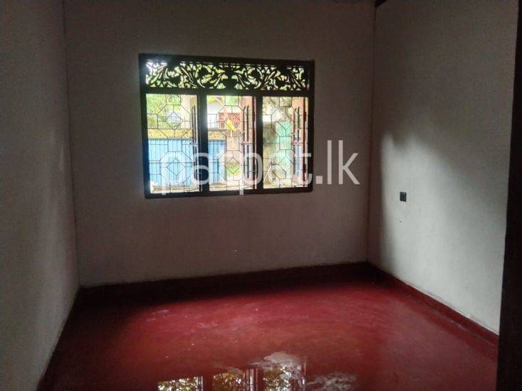 House for Rent in Delgoda