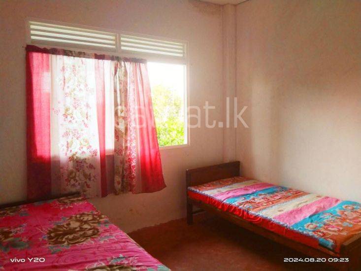 Room for Rent in Peradeniya ads-image-1