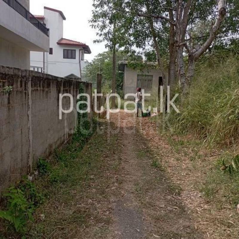 Land for Rent in Piliyandala