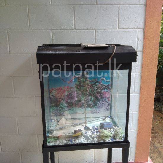 premium-listing-image