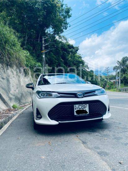 Wedding Car / Axio New Face