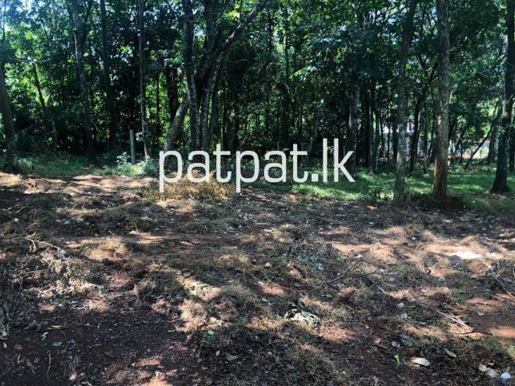 premium-listing-image