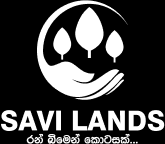 Saviii LandsS cover photo