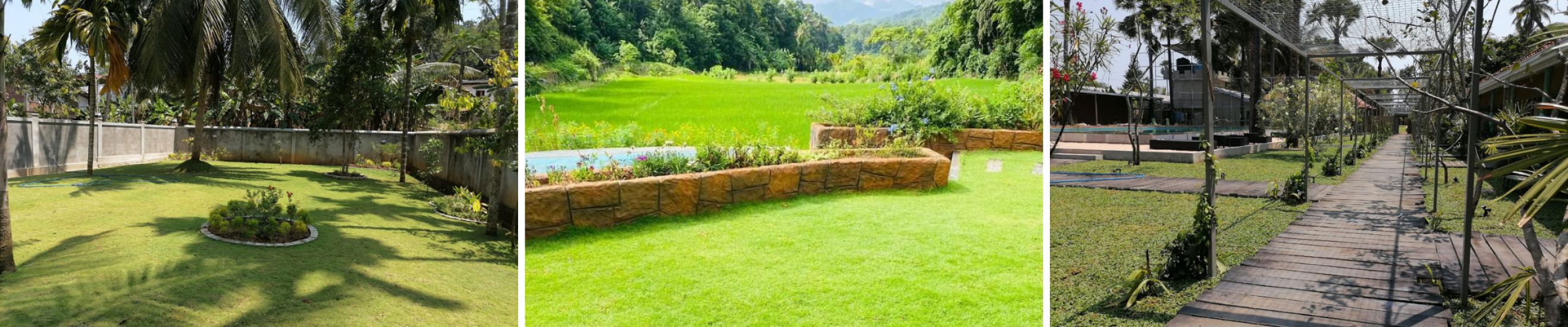 Evergreen Landscaping cover photo