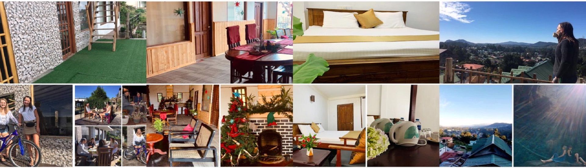 Golden King Guest cover photo