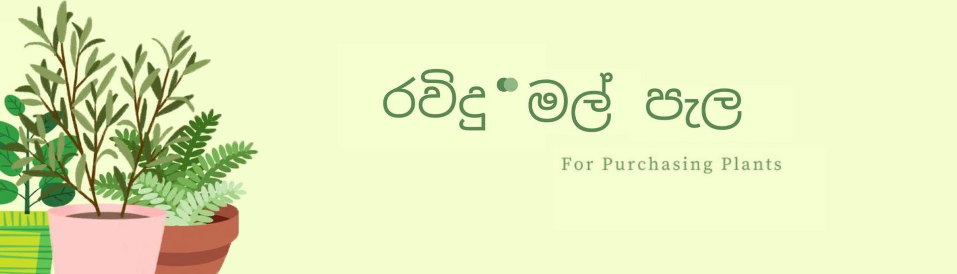 Ravindu Mal Pala Thawana cover photo