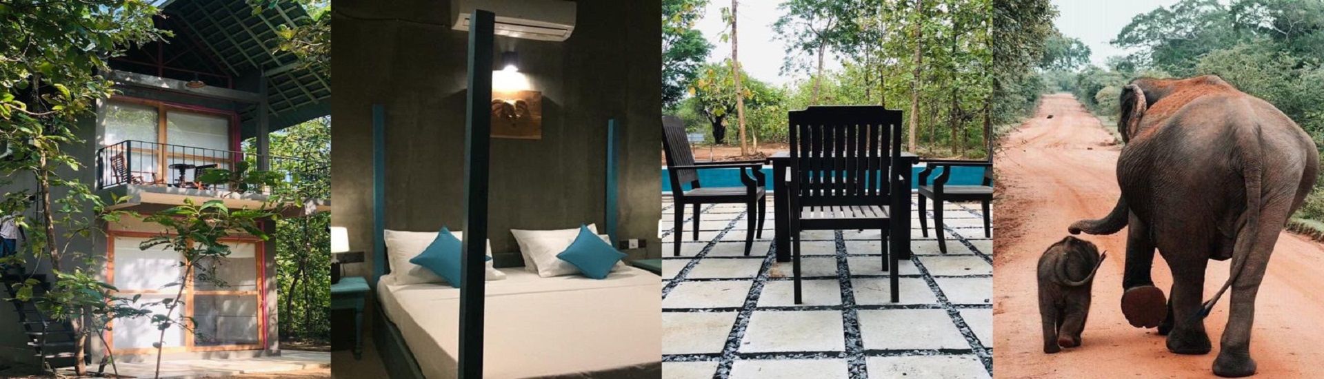 Hotel Great Hornbill Yala cover photo