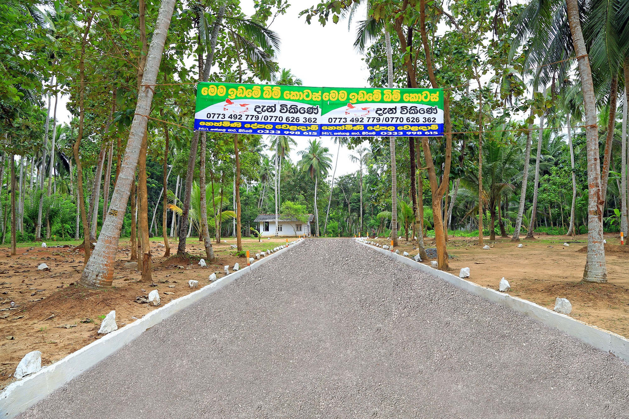 Nethmini property sale cover photo