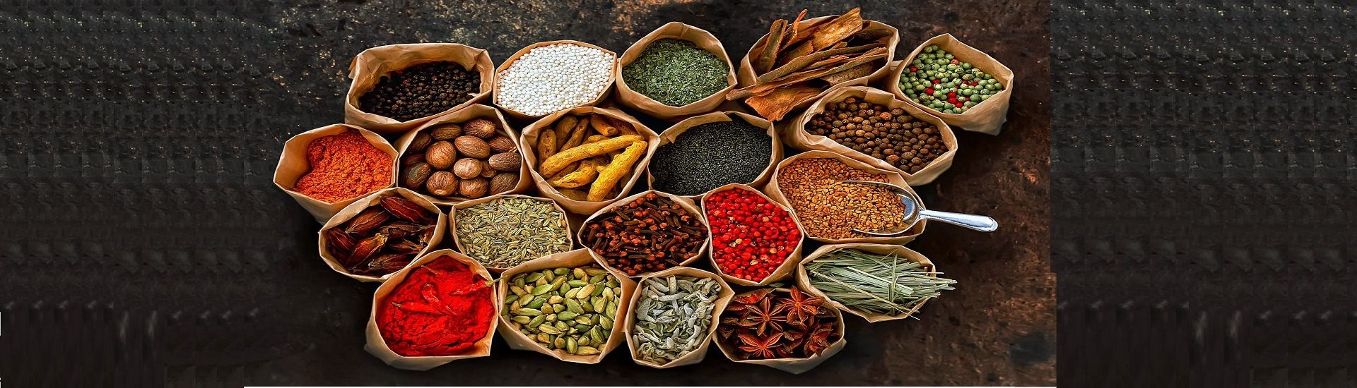 Brighton House cover photo