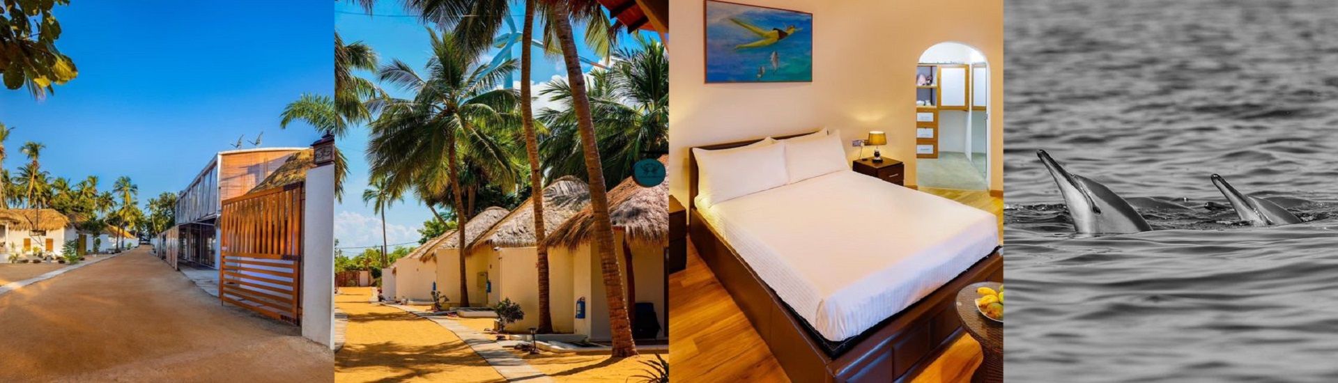 The Blue Lagoon Resort Kalpitiya cover photo