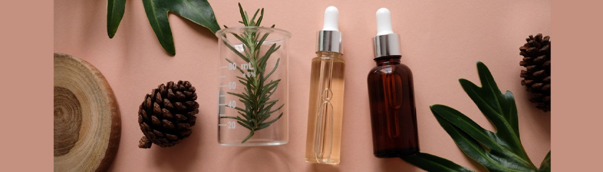 Body Care cover photo