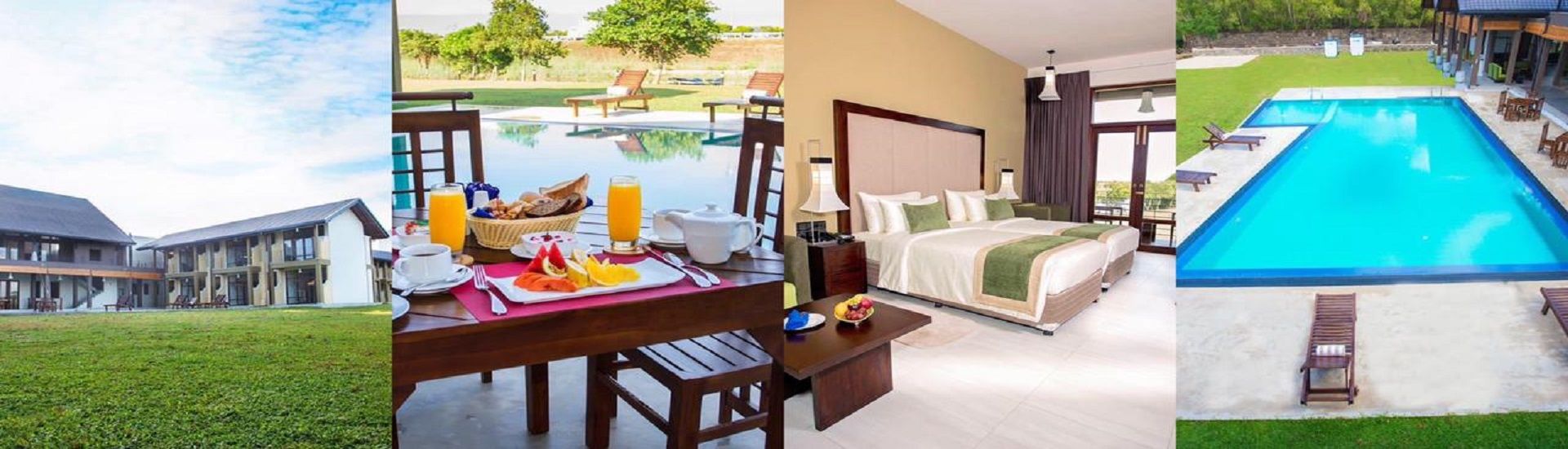 Amora Lagoon cover photo