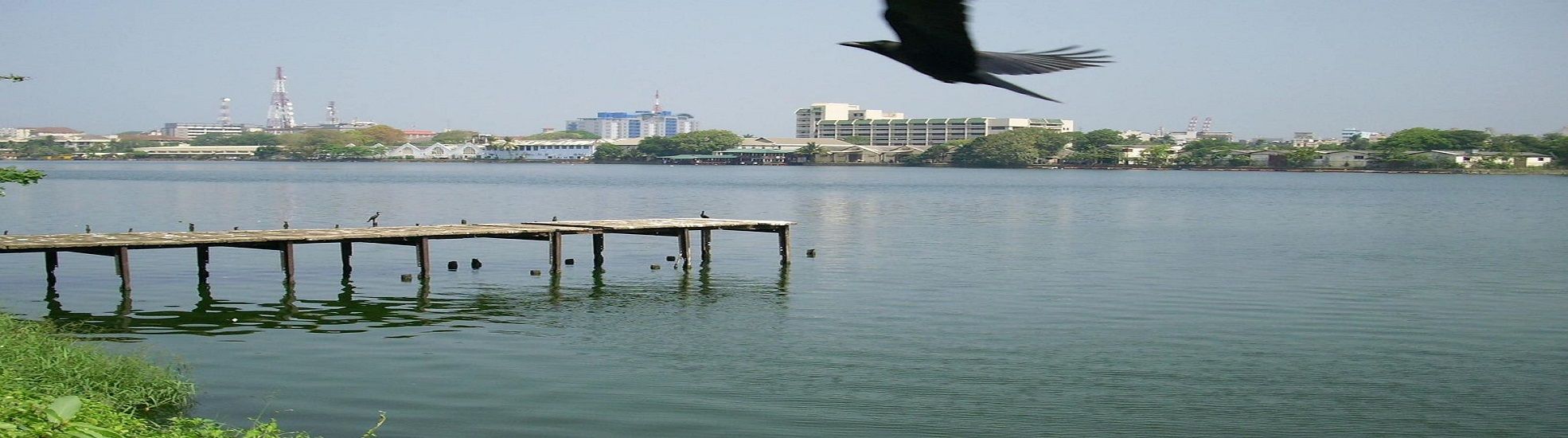 Geo Nature Properties cover photo