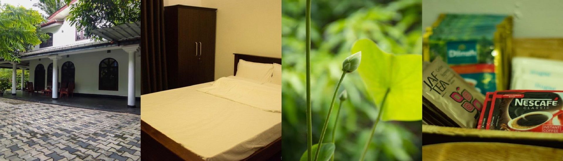 98 Home Lodge Dambulla cover photo