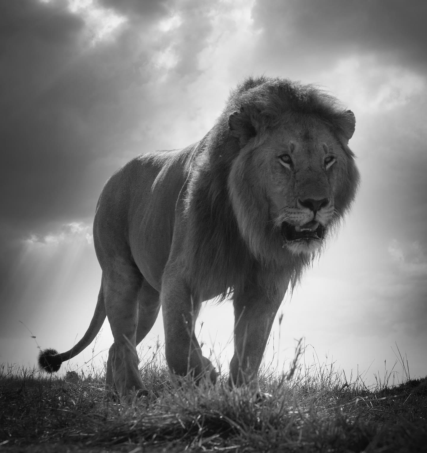 Entrepreneur Madness cover photo