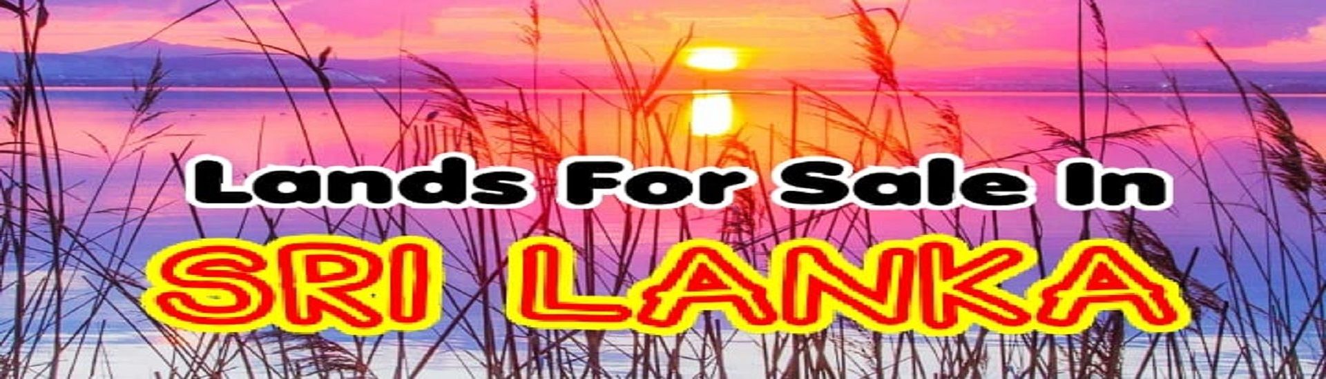 Yo Yo.lk cover photo