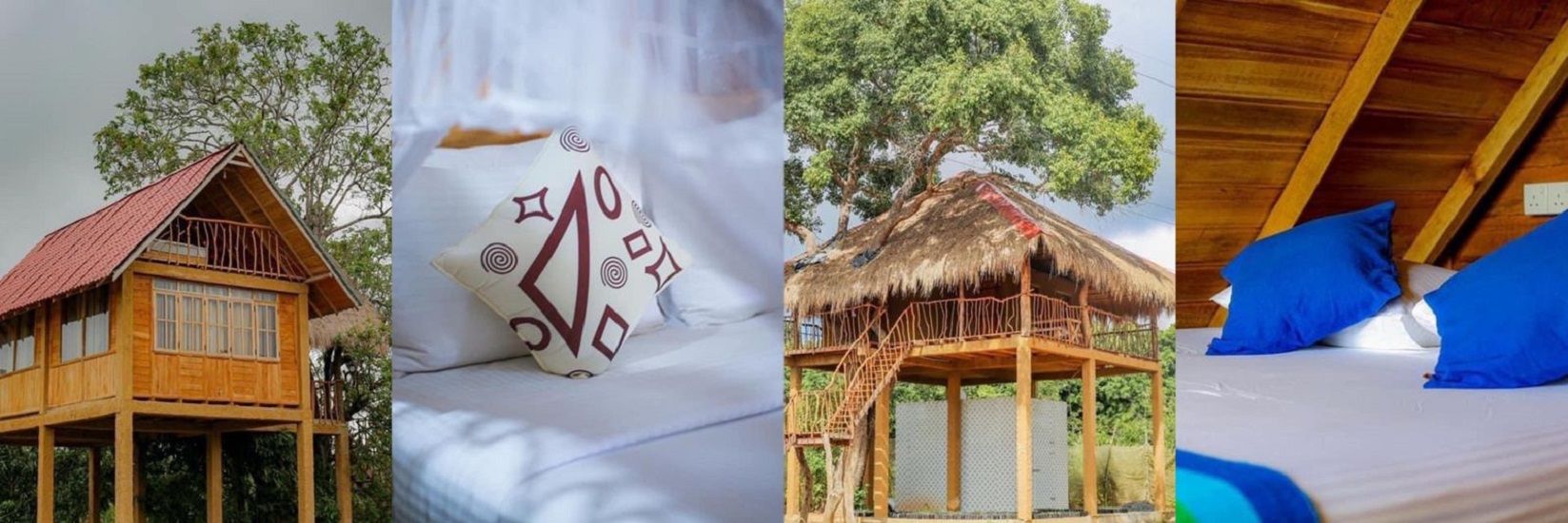 Sigiriya Tree House cover photo