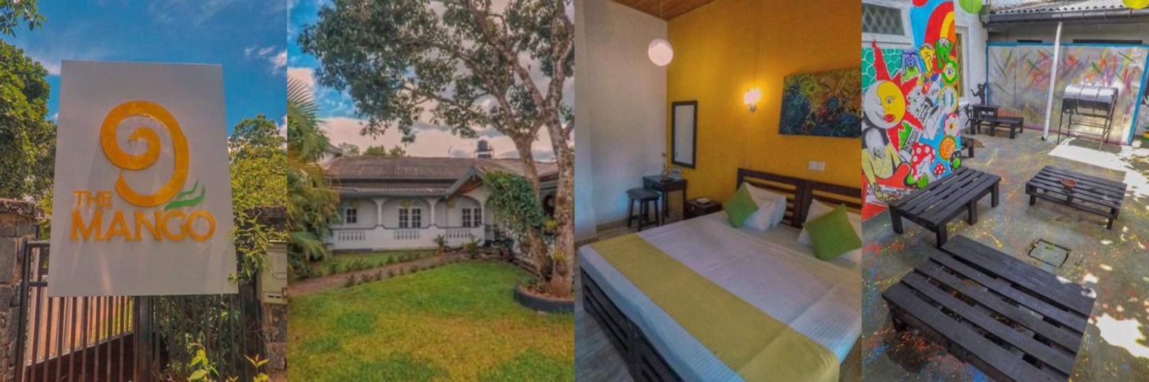 The Mango cover photo