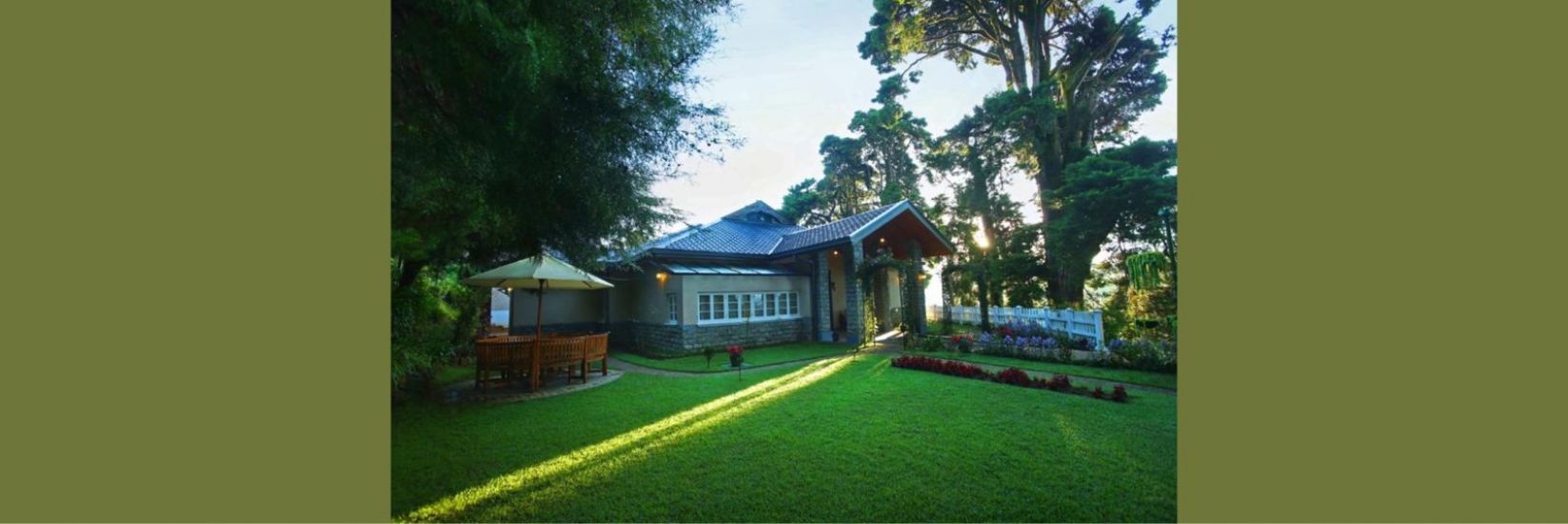 The Firs cover photo