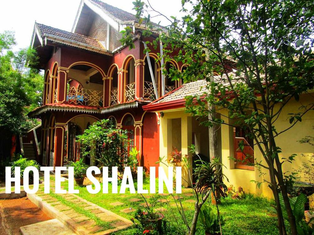 Hotel Shalini cover photo