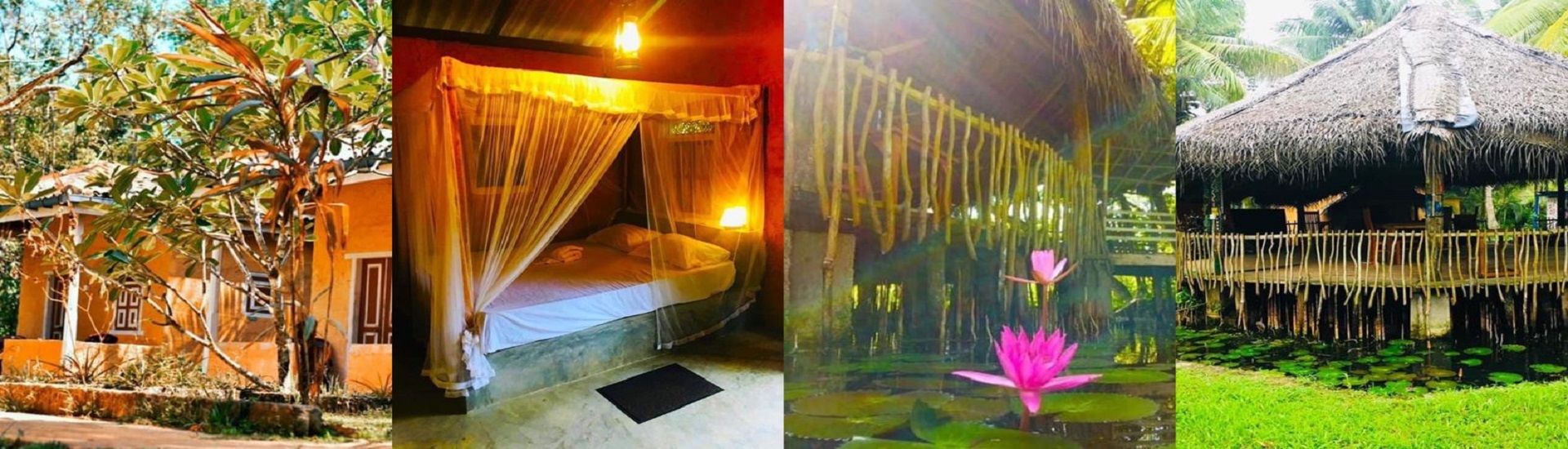 The Cabana Unawatuna cover photo