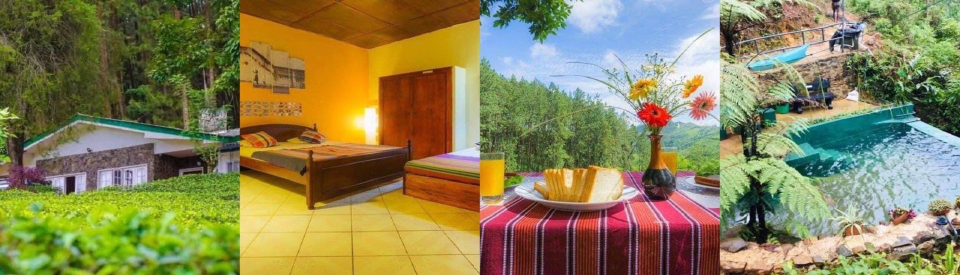 The Greendale Holiday Bungalow cover photo