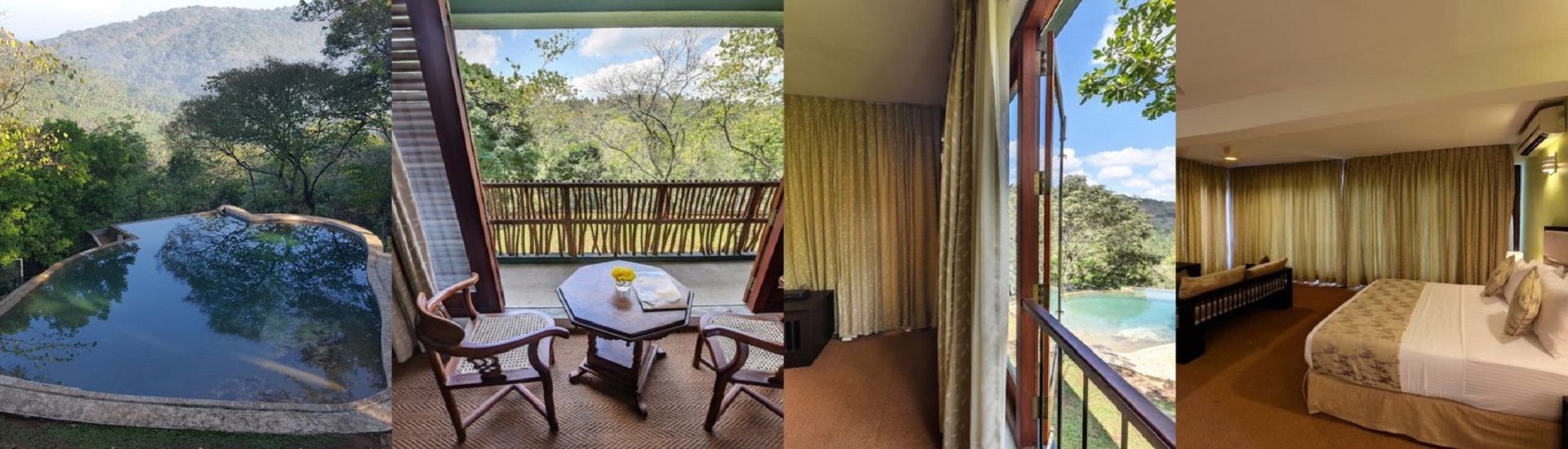 Birds Park cover photo