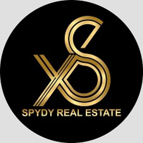 SPYDY Real Estat logo