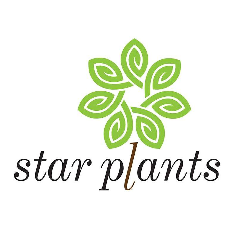 Star Plants - ?????? ??? ???? logo